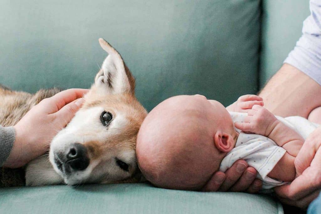 Lifestyle Newborn Photography