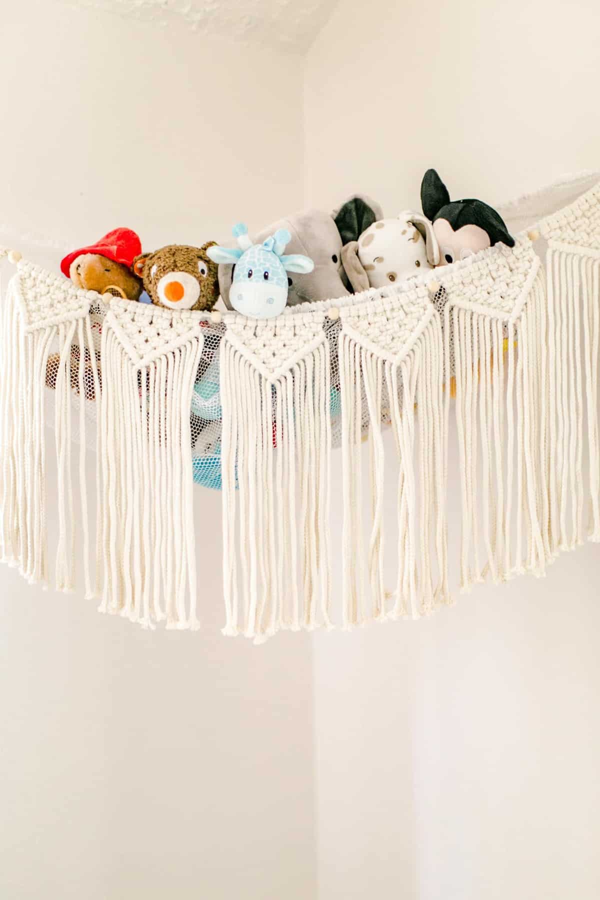 Newborn Photography Arlington Va